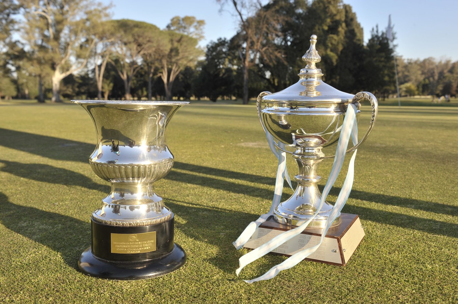 Federación de Golf del Sur del Litoral